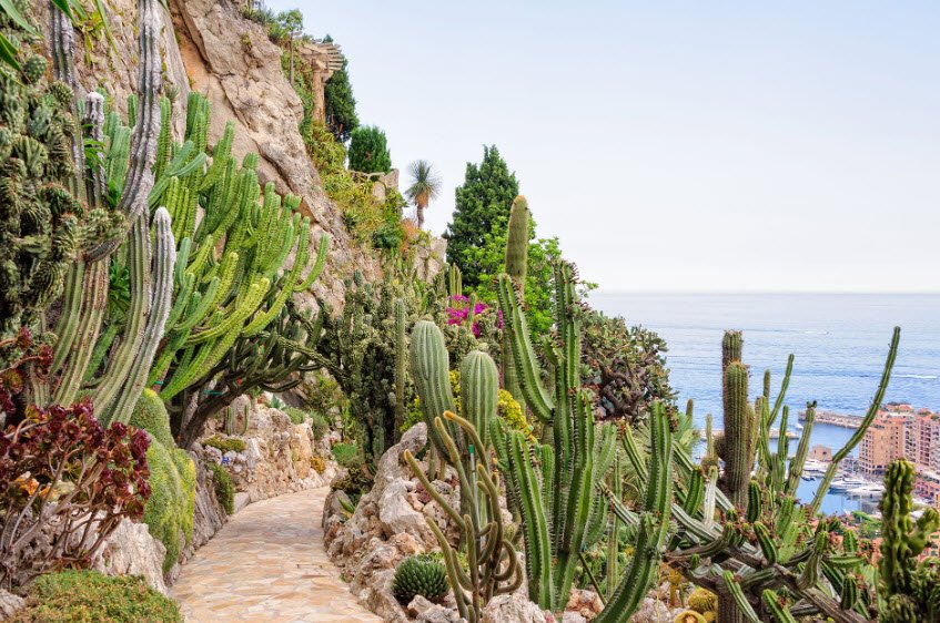 Jardin Exotique de Monaco, Les Révoires, Monaco